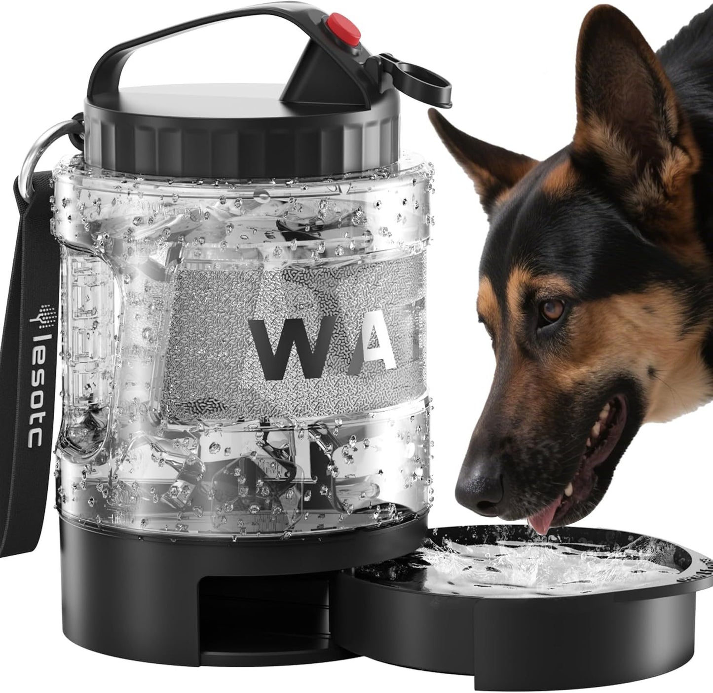 Portable Water Bowl Large